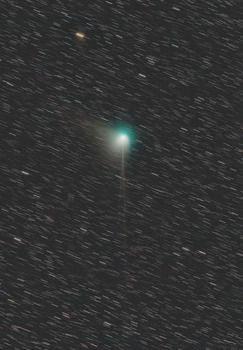 ZTF彗星2023-1-31.jpg