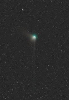 ZTF彗星2023-1-31a.jpg